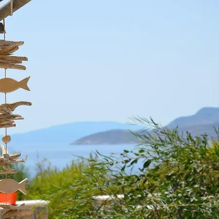 Archipelagos Boutique