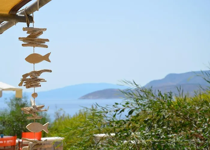 Archipelagos Boutique